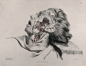 view The circulatory system: partial dissection of the neck and face of a man, with arteries, blood vessels and nerves (?) indicated in red and yellow. Coloured lithograph by J. Maclise, 1841/1844.