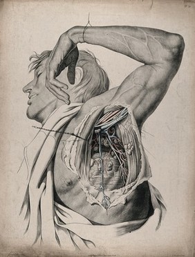 The circulatory system: dissection of the armpit of a man, showing the musculature and lymph nodes and with arteries, blood vessels and veins indicated in red and blue. Coloured lithograph by J. Maclise, 1841/1844.