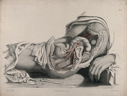 The circulatory system: dissection of the abdomen and pelvic region of a woman, side view, showing the intestines and bladder (?), with the arteries indicated in red. A pair of surgical scissors are shown below. Coloured lithograph by J. Maclise, 1841/1844.