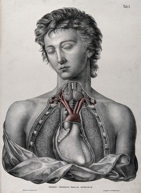 Partial dissection of the chest of a man, with arteries indicated in red. Coloured lithograph by J. Roux, 1822.