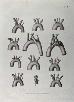 view The aortic arch and the arteries of the neck: twelve figures. Coloured lithograph by J. Roux, 1822.