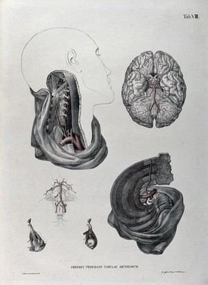 view Dissections of the neck, brain and thorax: six figures, with the arteries and blood vessels indicated in red. Coloured lithograph by J. Roux, 1822.
