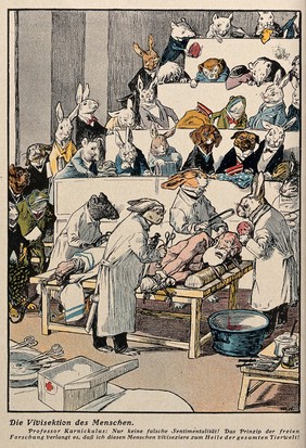 Animals dressed as doctors are about to vivisect a man in an operating theatre or anatomy theatre. Colour lithograph, ca. 1910.