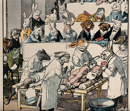 Animals dressed as doctors are about to vivisect a man in an operating theatre or anatomy theatre. Colour lithograph, ca. 1910.