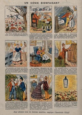 Nine vignettes advertising uses of Insecticide Vicat. Colour line block, ca. 1880.