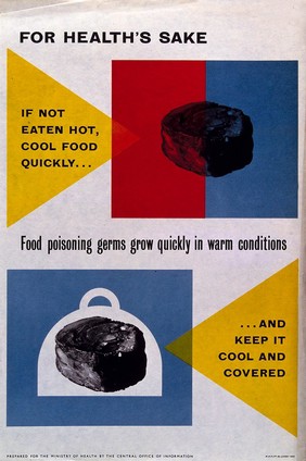 Prevention of food poisoning by cooling hot meat and keeping cold meat covered. Colour lithograph, ca. 1965.