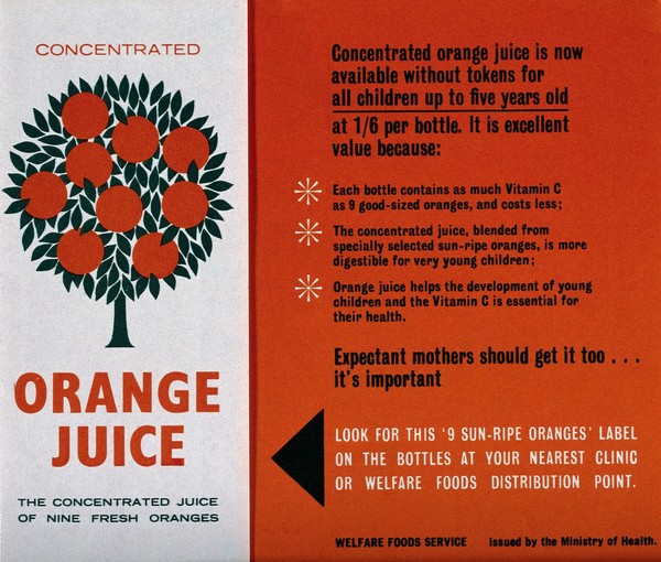 An orange tree, advertising concentrated orange juice as beneficial to children. Colour lithograph after Eileen Evans.