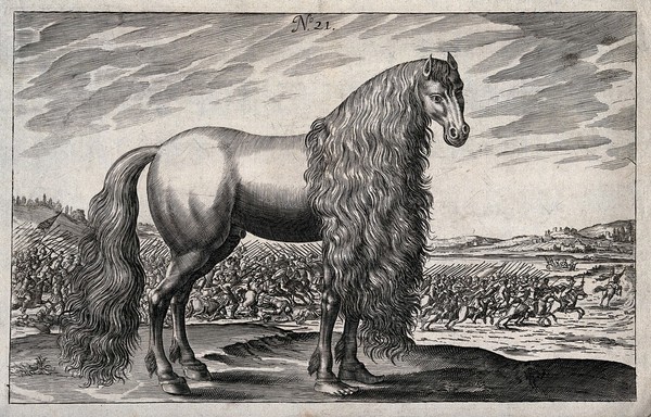 Asturcus, the legendary horse of Julius Caesar, with human forefeet; a battle in the background. Engraving attributed to P. Tröschel.