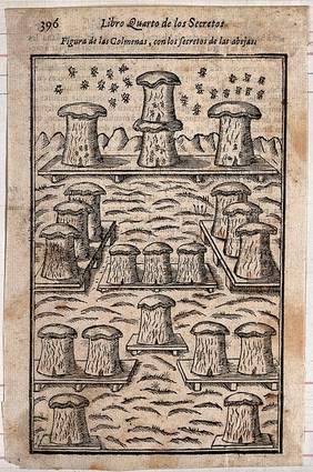 Eighteen beehives. Woodcut, 15--.