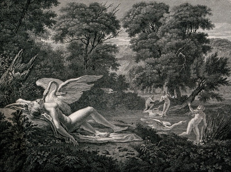 Leda and the swan. Engraving by L. Garreau after J. Verkolje., 1771-1791, by Jan Verkolje