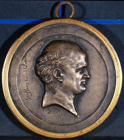 Étienne Geoffroy-Saint-Hilaire; in profile. Bronze sculpture by David d'Angers, 1831.