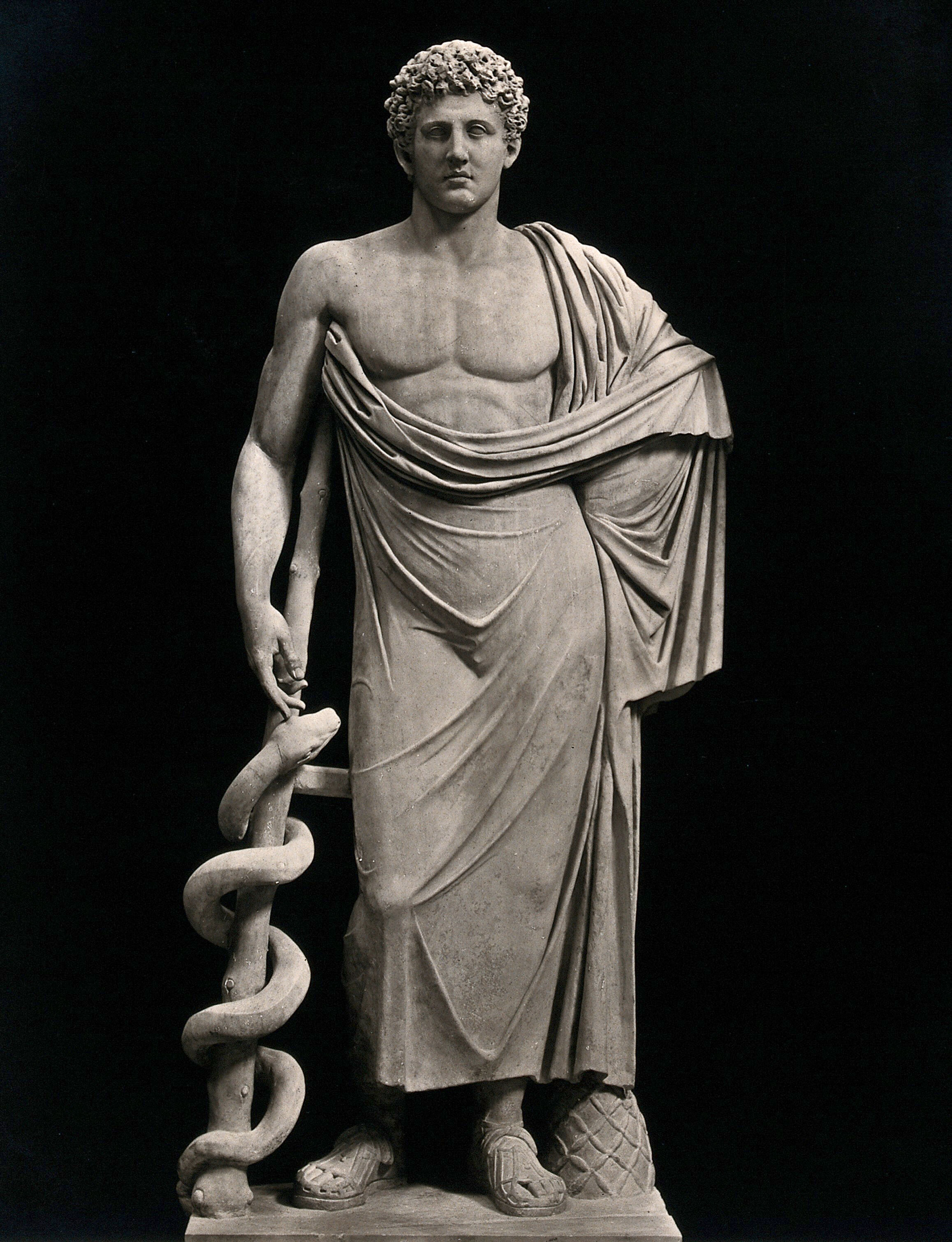 Aesculapius The Greek God Of Healing Photograph By Alinari 1900 19 Wellcome Collection