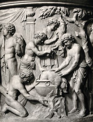 view Dionysian rites: a pig being sacrificed. Photograph, ca. 1870 (?), of a Roman (marble ?) bas-relief.