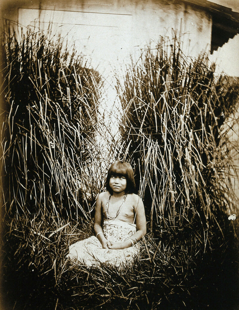 An Amazonian Indian child, next to a whitewashed wall with tall grasses all around., [1900], by Marc Ferrez