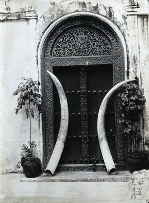 view An ornate carved doorway in Zanzibar, with an enormous pair of elephant's tusks leaning against it.