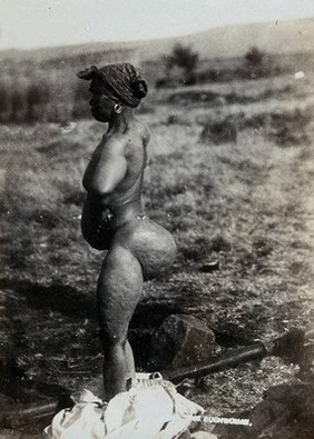 A Khoikhoi woman standing in the field. Photograph, ca.1900.