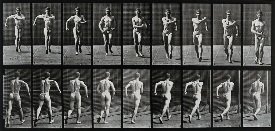 A man speed-walking. Collotype after Eadweard Muybridge, 1887.