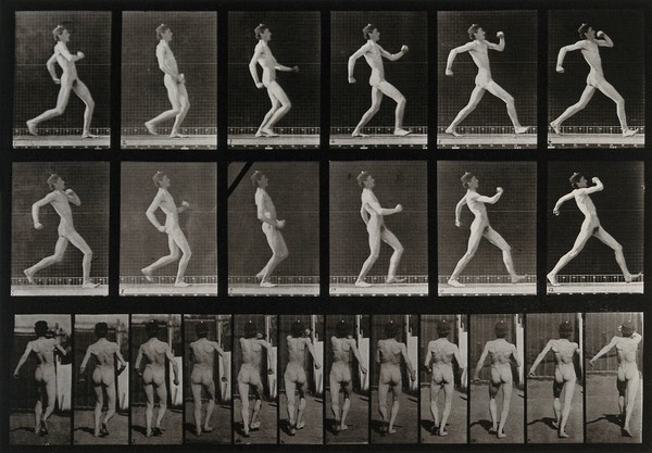 A man running. Collotype after Eadweard Muybridge, 1887.