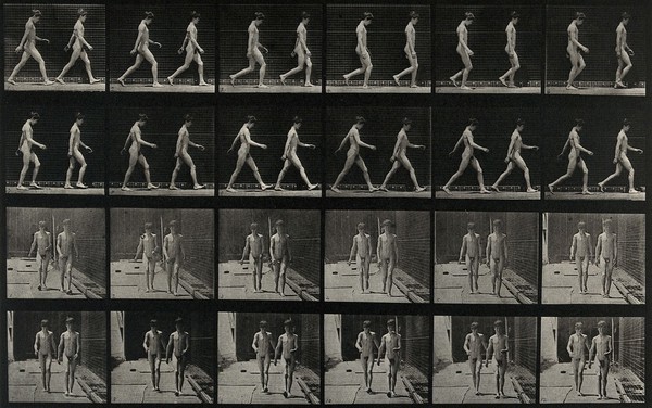 Two adolescents walking. Collotype after Eadweard Muybridge, 1887.