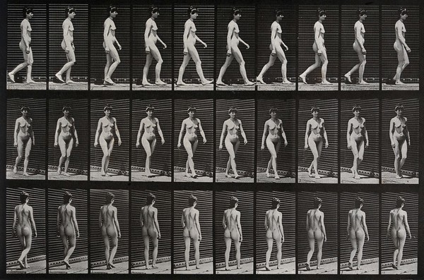 A woman walking. Collotype after Eadweard Muybridge, 1887.