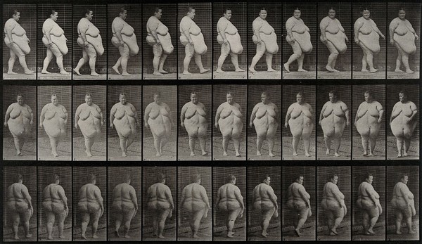 An obese woman walking. Collotype after Eadweard Muybridge, 1887.