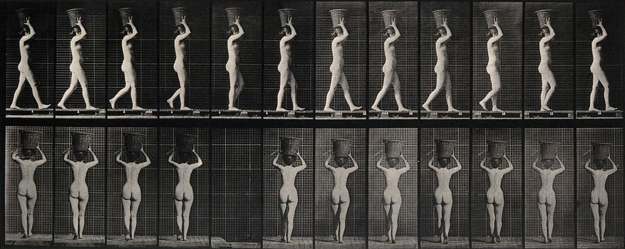 A woman bearing basket on head. Photogravure after Eadweard Muybridge, 1887.