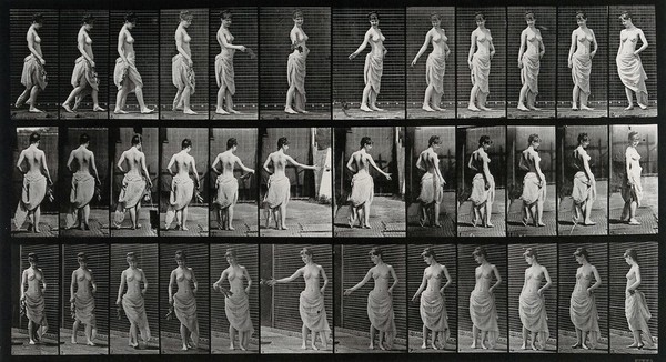 A woman throwing a bouquet of flowers. Collotype after Eadweard Muybridge, 1887.