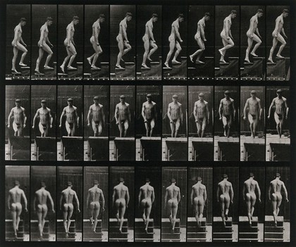 A man walking up stairs. Collotype after Eadweard Muybridge, 1887.