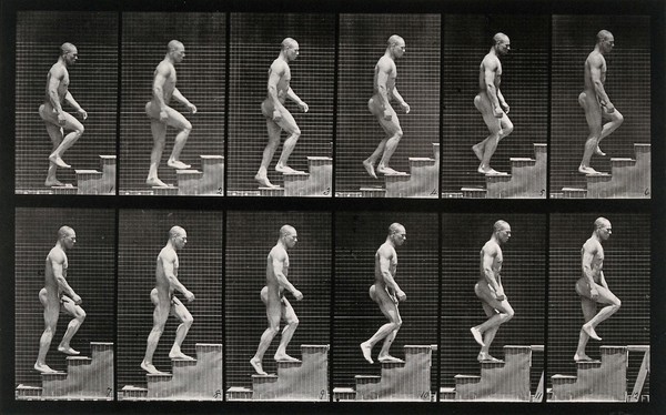 A man walking up stairs. Collotype after Eadweard Muybridge, 1887.