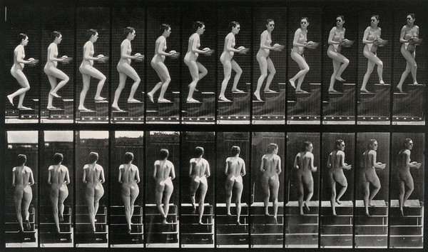 A woman walking up stairs bearing a bowl. Collotype after Eadweard Muybridge, 1887.