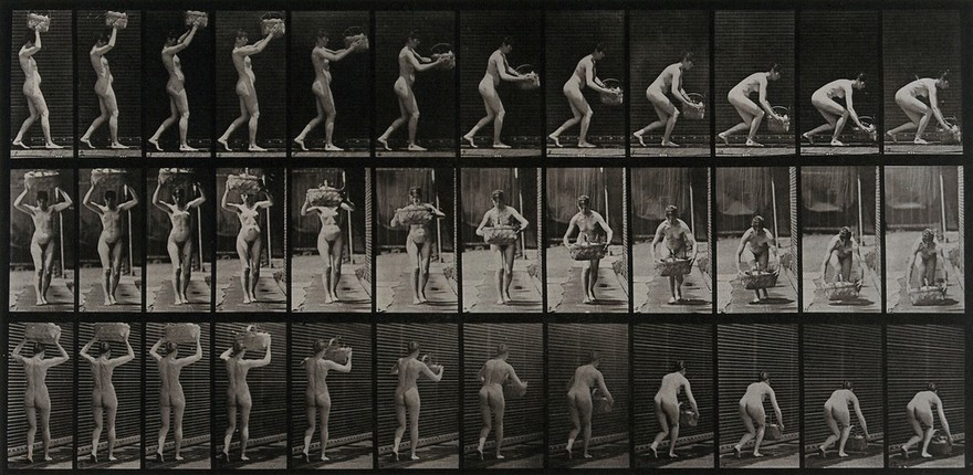 A woman putting a basket down. Collotype after Eadweard Muybridge, 1887.