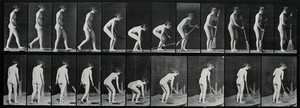 view A woman picks up a broom off the ground and sweeps. Photogravure after Eadweard Muybridge, 1887.