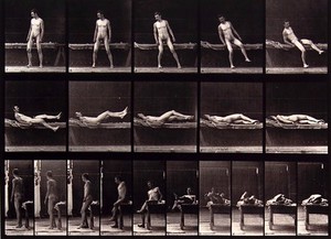 view A man lying down on a bed. Photogravure after Eadweard Muybridge, 1887.