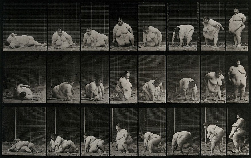 An obese woman getting up off the ground: three series. Collotype after Eadweard Muybridge, 1887.