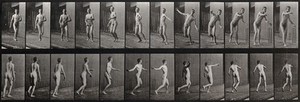 view A man bowling. Photogravure after Eadweard Muybridge, 1887.