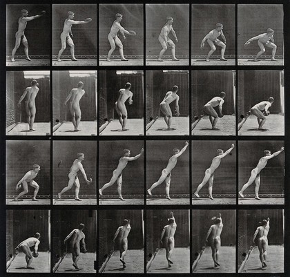 A male discus thrower. Collotype after Eadweard Muybridge, 1887.