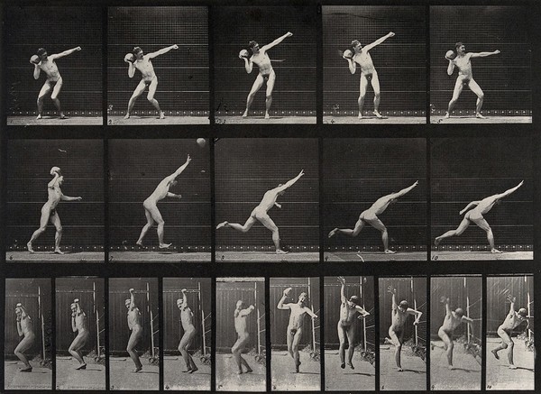 A man putting the shot. Collotype after Eadweard Muybridge, 1887.