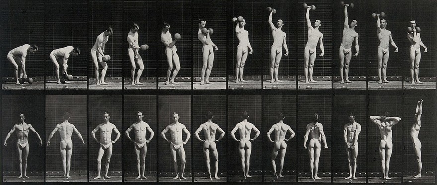 A man lifting a pair of dumb-bells and posing. Collotype after Eadweard Muybridge, 1887.