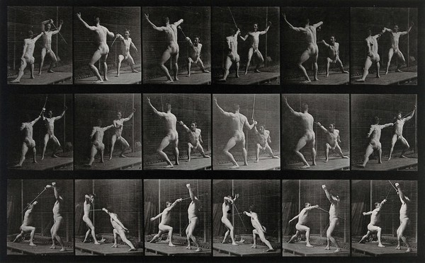 Two men fencing. Collotype after Eadweard Muybridge, 1887.