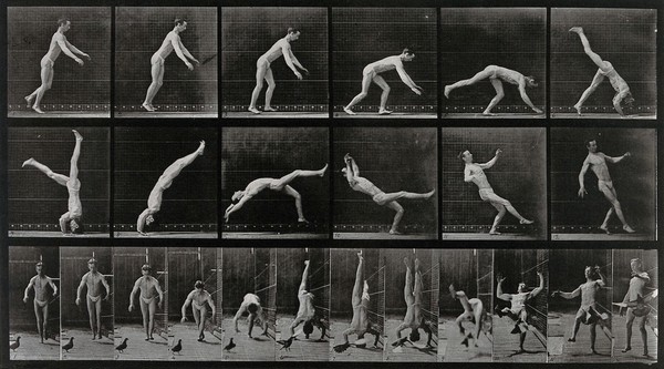 A man performing a forward flip. Collotype after Eadweard Muybridge, 1887.