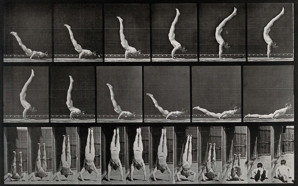 A man standing on his hands from a lying down position. Collotype after Eadweard Muybridge, 1887.