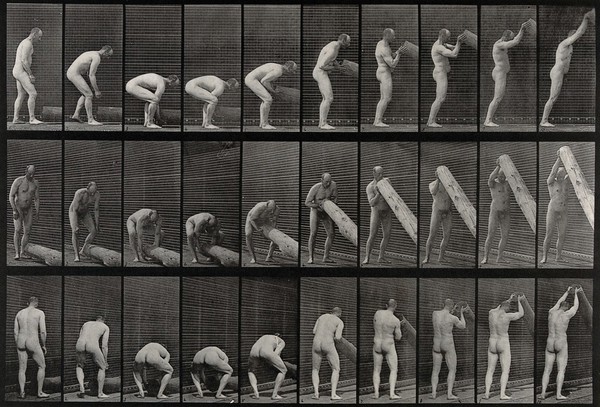 A man lifting a trunk. Collotype after Eadweard Muybridge, 1887.