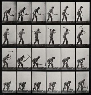 A clothed man digging with a pickaxe. Collotype after Eadweard Muybridge, 1887.