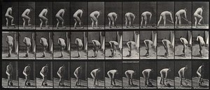 view A man digging with a spade. Photogravure after Eadweard Muybridge, 1887.