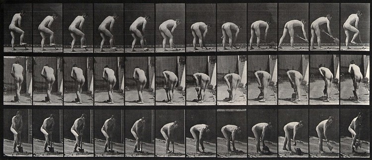 A man digging with a spade. Photogravure after Eadweard Muybridge, 1887.