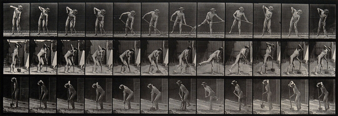 A man digging with a shovel. Photogravure after Eadweard Muybridge, 1887.