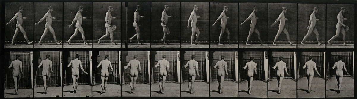 A man sowing. Photogravure after Eadweard Muybridge, 1887.