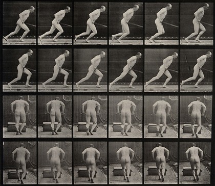 A man pushing a roller. Collotype after Eadweard Muybridge, 1887.