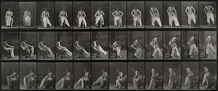A woman sitting on a chair and putting a pair of bloomers on. Collotype after Eadweard Muybridge, 1887.