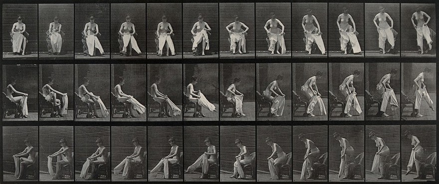 A woman sitting on a chair and putting a pair of bloomers on. Collotype after Eadweard Muybridge, 1887.